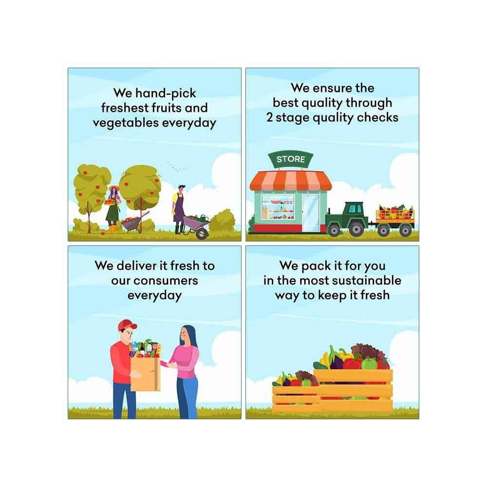 Big Coconut 1 Pc ( Approx 350 g - 600 g) - Image 3